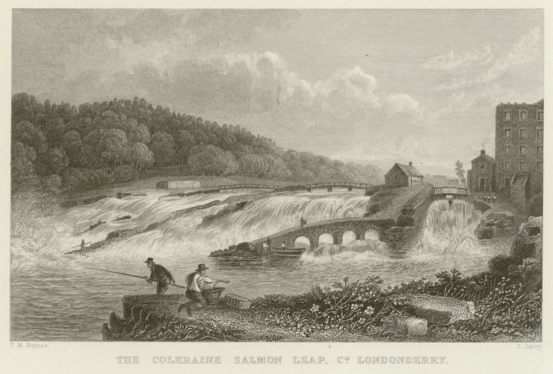 Coleraine laksespranget av Thomas Mann Baynes