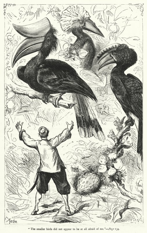 Illustrasjon for Gullivers reiser av Jonathan Swift (gravering) av Thomas Morten