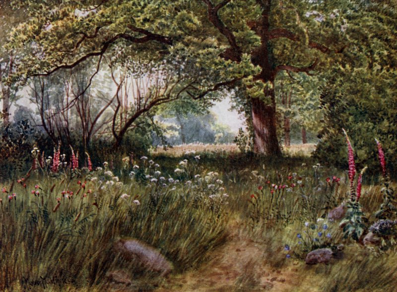 Kew Gardens: In Queen
