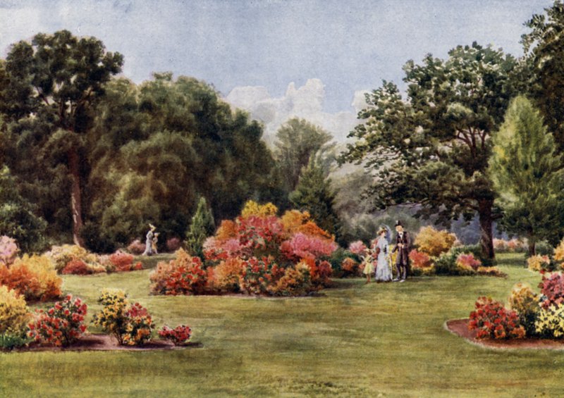 Kew Gardens: The Azalea (farge litho) av Thomas Mower Martin