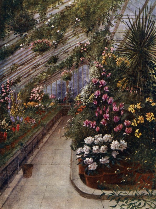 Kew Gardens: The Green House (litho-farge) av Thomas Mower Martin