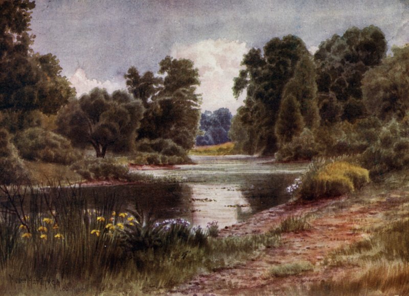 Kew Gardens: The Lake, Looking South (farge litho) av Thomas Mower Martin