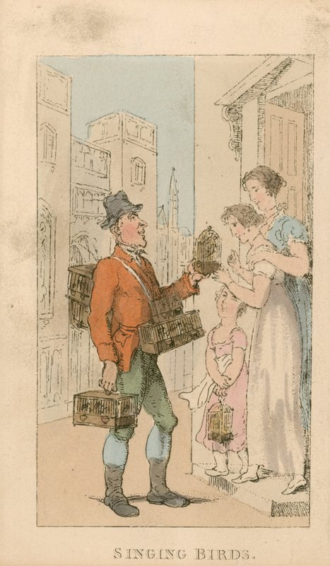 Syngende fugler av Thomas Rowlandson