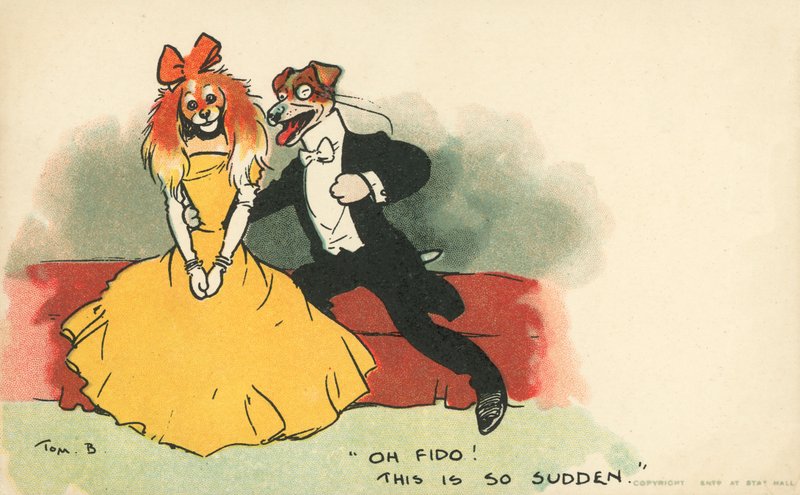 Hunder kledd som et romantisk par (farge litho) av Tom Browne