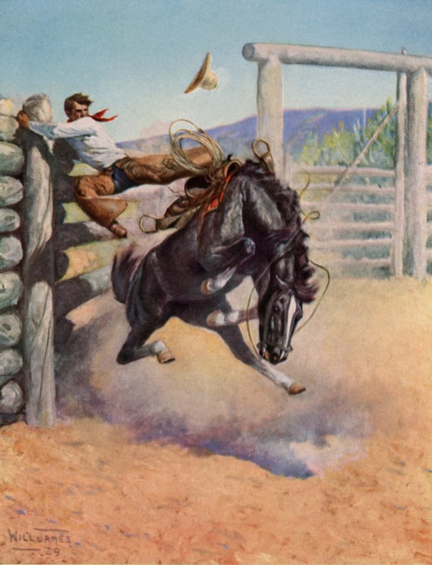Smoky The Cow Horse av Unbekannt Unbekannt