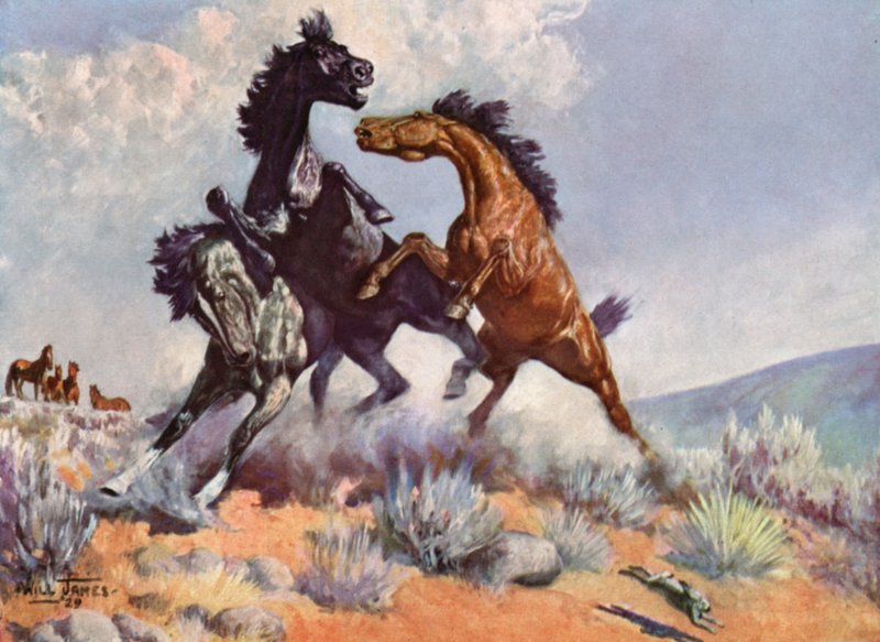 Smoky The Cow Horse av Unbekannt Unbekannt