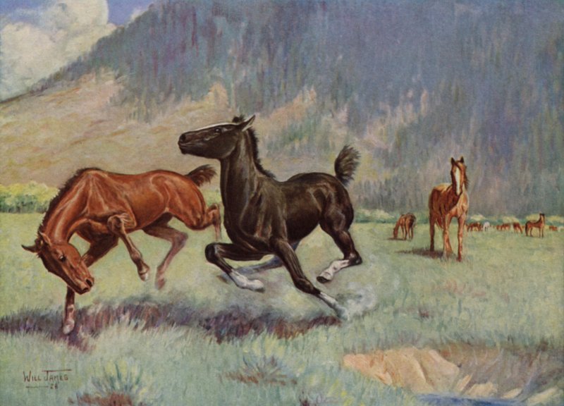 Smoky The Cow Horse av Unbekannt Unbekannt