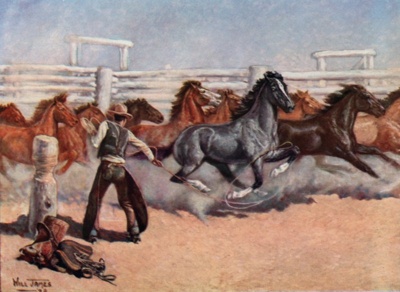 Smoky The Cow Horse av Unbekannt Unbekannt
