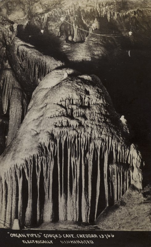 Orgelpiper, Goughs Cave, Cheddar (s/hvitt-bilde) av Unbekannt