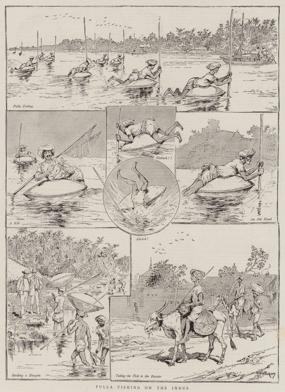 Pulla Fiske på Indus av Victor Armand Poirson