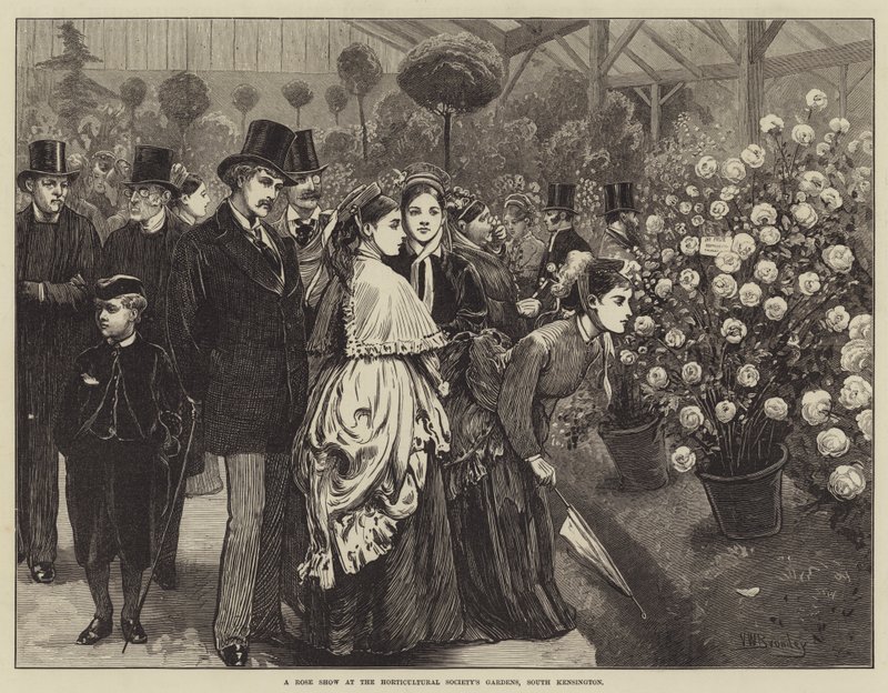 Et roseshow i Horticultural Society's Gardens, South Kensington av Valentine Walter Lewis Bromley