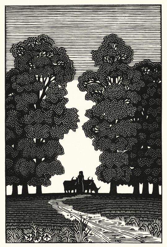 Illustrasjon for Tess Of The D