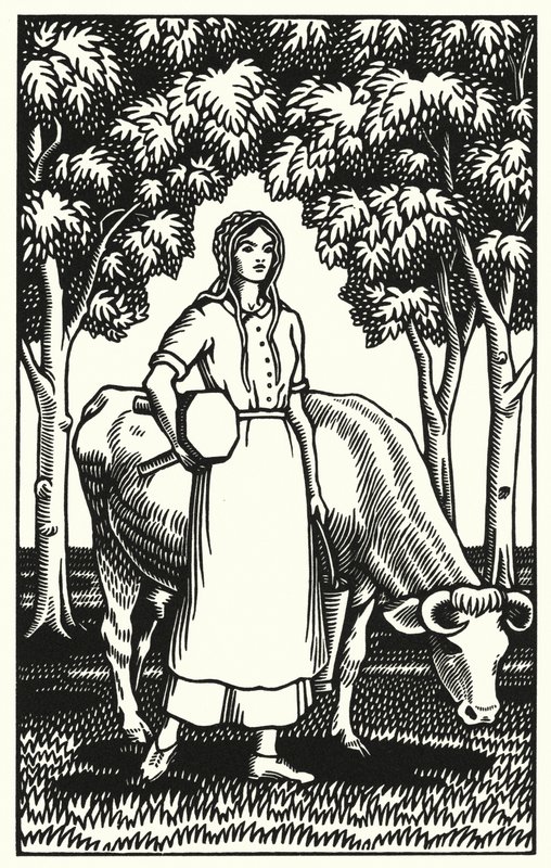 Illustrasjon for Tess Of The D