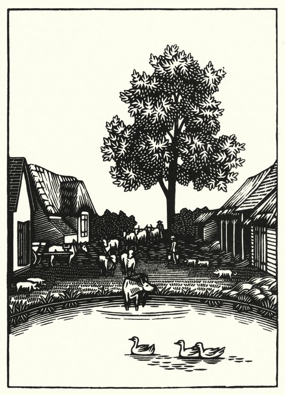 Illustrasjon for Tess Of The D'Urbervilles av Thomas Hardy (gravering) av Vivien Gribble