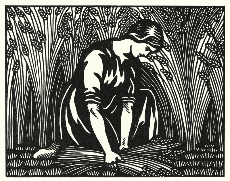 Illustrasjon for Tess Of The D
