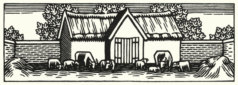 Illustrasjon for Tess Of The D'Urbervilles av Thomas Hardy (gravering) av Vivien Gribble