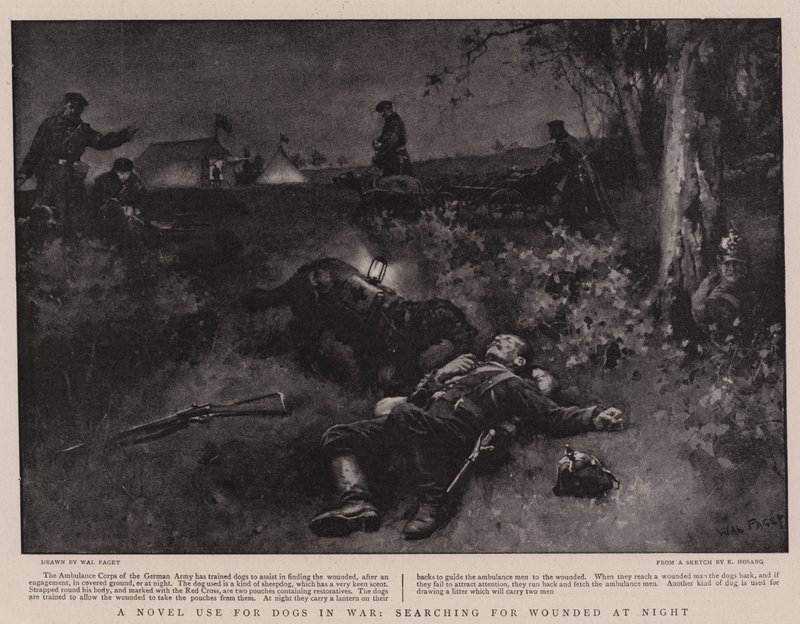 A Novel Use for Dogs in War, søker etter Wounded at Night av Walter Stanley Paget