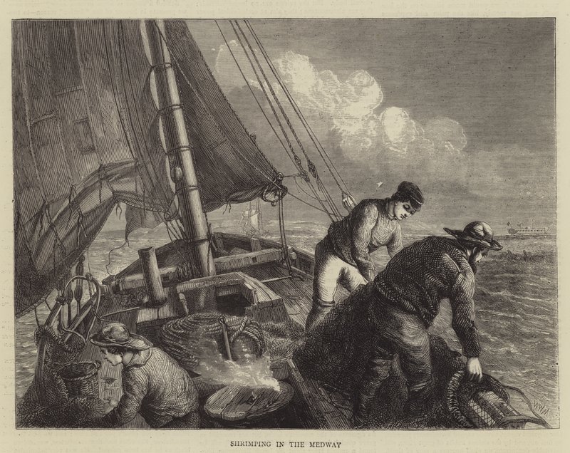 Rekefiske i Medway av Walter William May