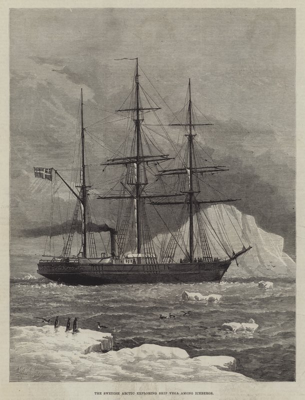 Det svenske Arktis utforsker skipet Vega blant isfjell av Walter William May