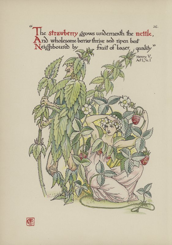 Blomster fra Shakespeares Garden av Walter Crane