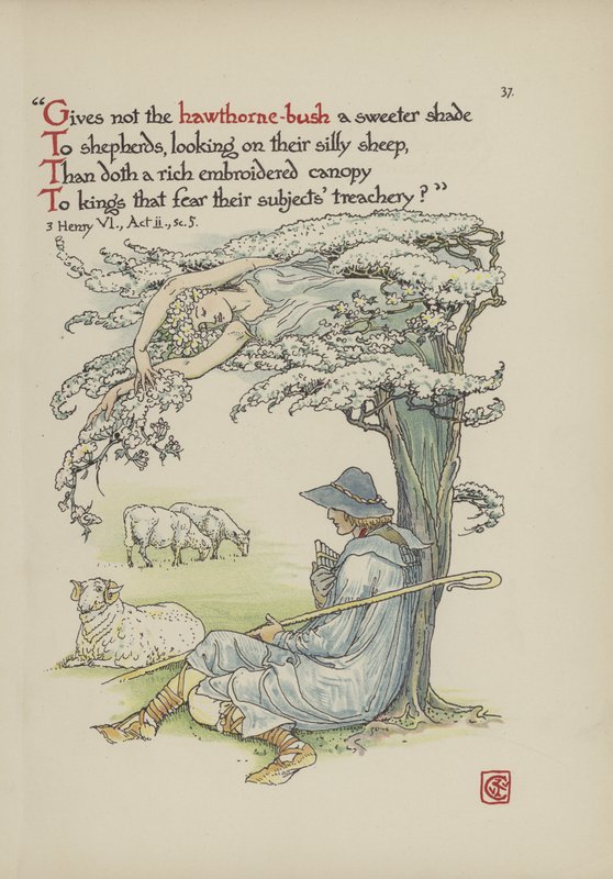 Blomster fra Shakespeares Garden av Walter Crane