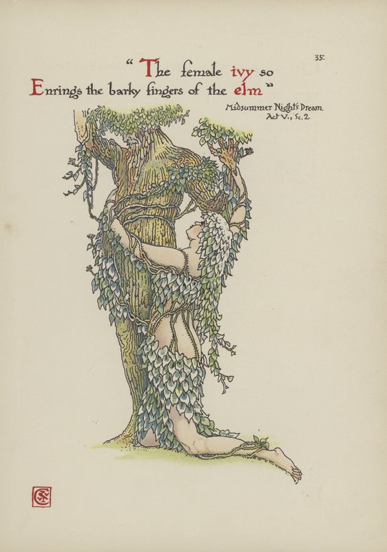 Blomster fra Shakespeares Garden av Walter Crane