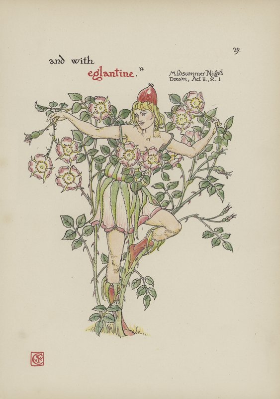 Blomster fra Shakespeares Garden av Walter Crane