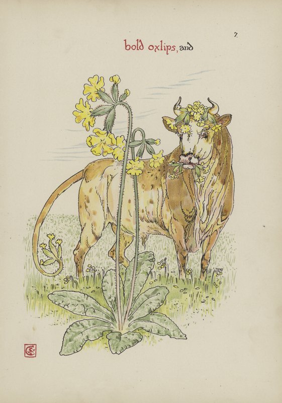Blomster fra Shakespeares Garden av Walter Crane