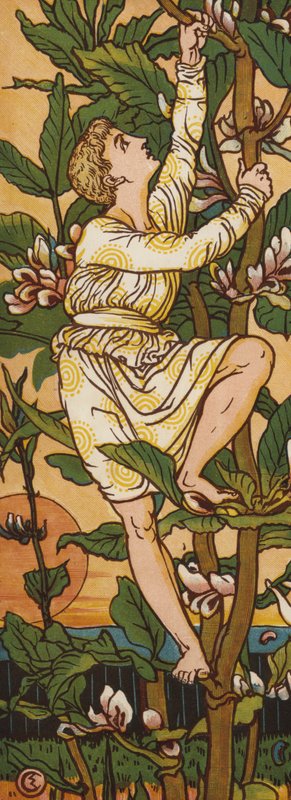 Jack og bønnestilken (farge litho) av Walter Crane