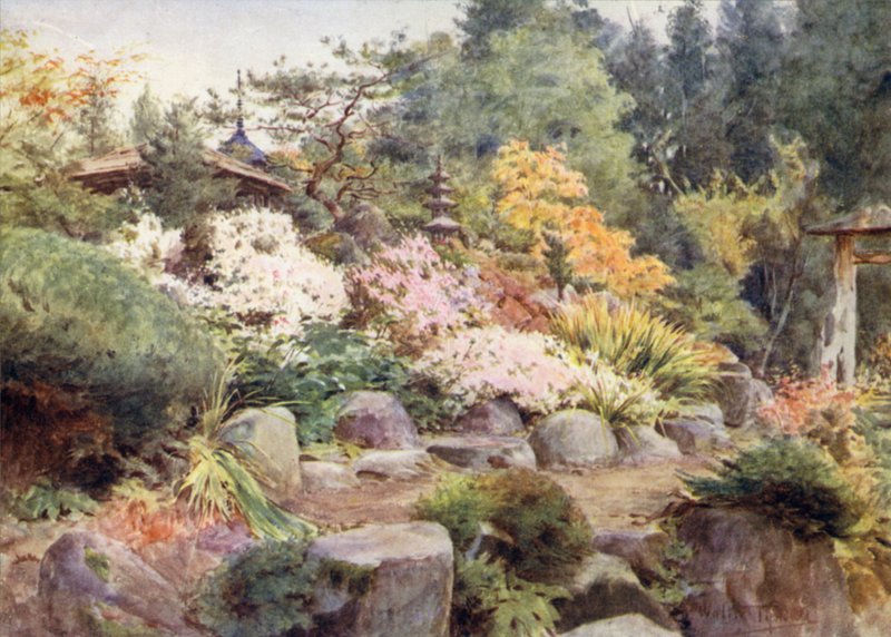 En steinhage ved Nikko, Cosmos og Maple av Walter Frederick Roofe Tyndale