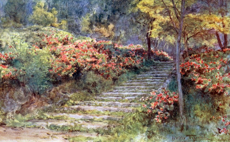 Asalea ved en gammel trapp, Kyoto av Walter Frederick Roofe Tyndale