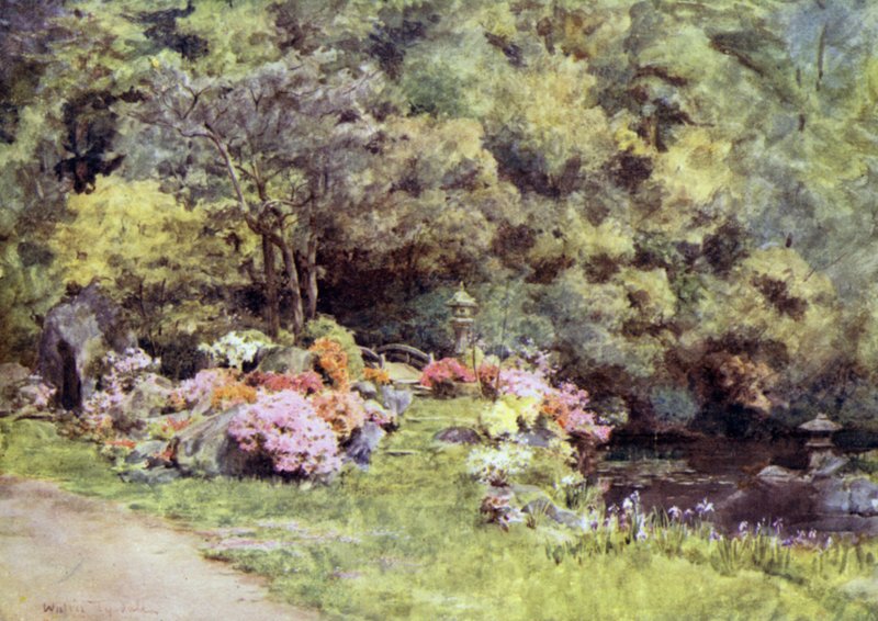 Asalea i Choin i Temple Gardens, Kyoto av Walter Frederick Roofe Tyndale