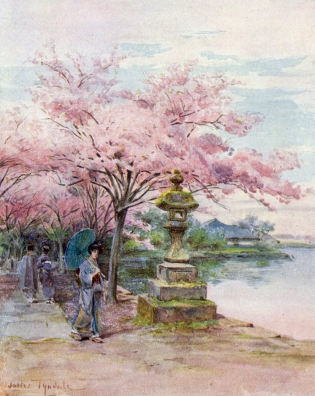 Kirsebærblomst og steinlykt, Ueno-parken av Walter Frederick Roofe Tyndale
