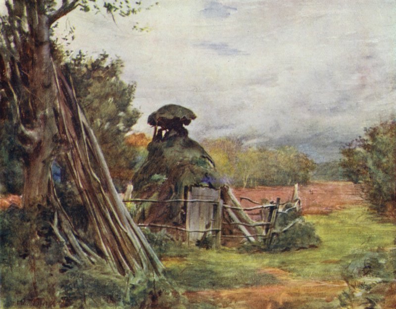 The New Forest: Charcoal Burner