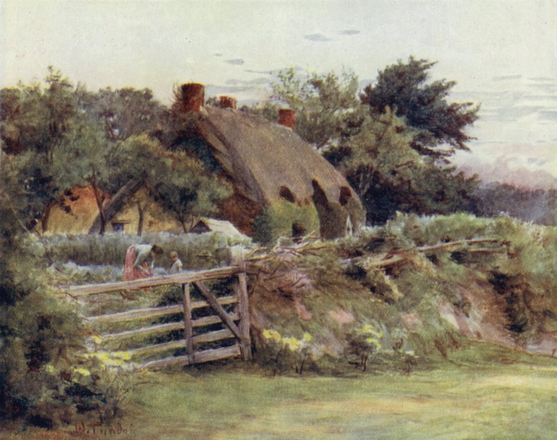 The New Forest: Hytte nær Brokenhurst (farge litho) av Walter Frederick Roofe Tyndale