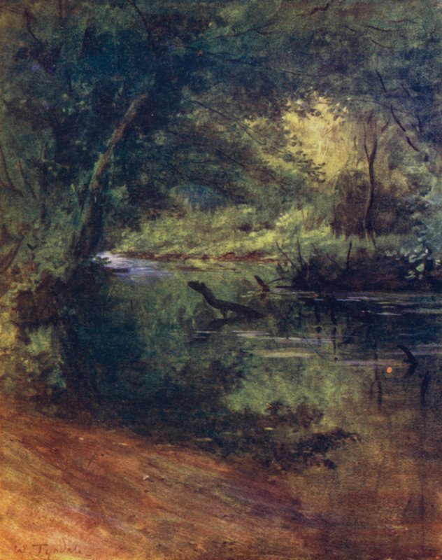 The New Forest: Northgate, nær Culverley, i Lodge Walk (farge litho) av Walter Frederick Roofe Tyndale