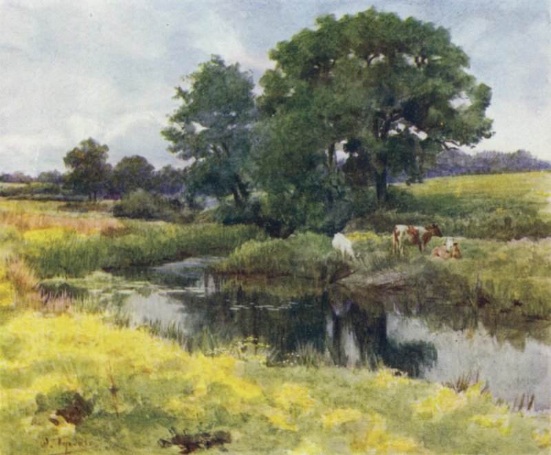 The New Forest: On the Lymington River (farge litho) av Walter Frederick Roofe Tyndale