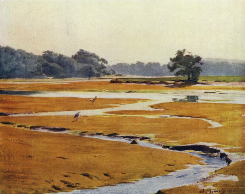 The New Forest: The Beaulieu River (farge litho) av Walter Frederick Roofe Tyndale