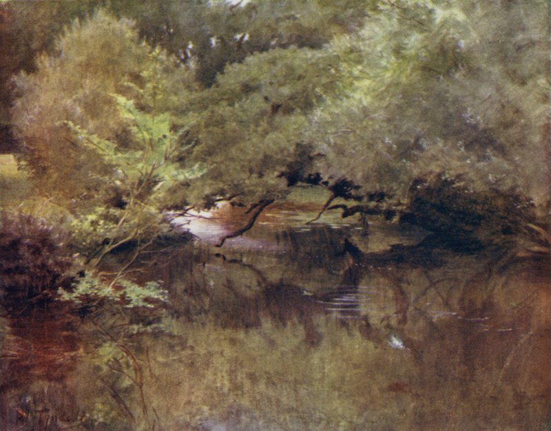 The New Forest: The Lymington River ved Royden, nær Boldre (farge litho) av Walter Frederick Roofe Tyndale