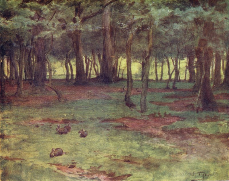 The New Forest: The Woods in Setley Plain (farge litho) av Walter Frederick Roofe Tyndale