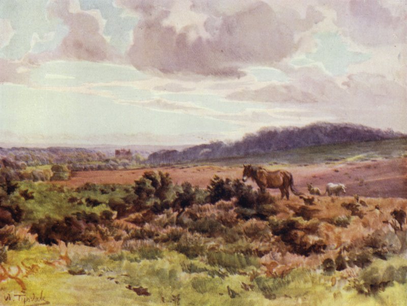 The New Forest: Utsikt fra Picket Post på Ringwood Road (farge litho) av Walter Frederick Roofe Tyndale