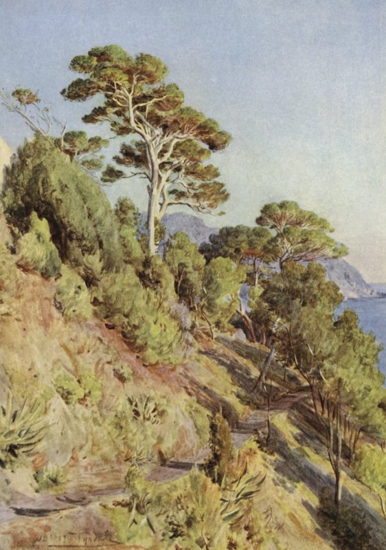Villa Puma, Sestri Levante av Walter Frederick Roofe Tyndale