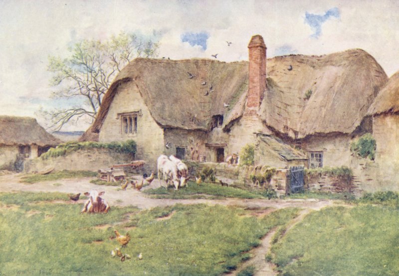  av Walter Frederick Roofe Tyndale