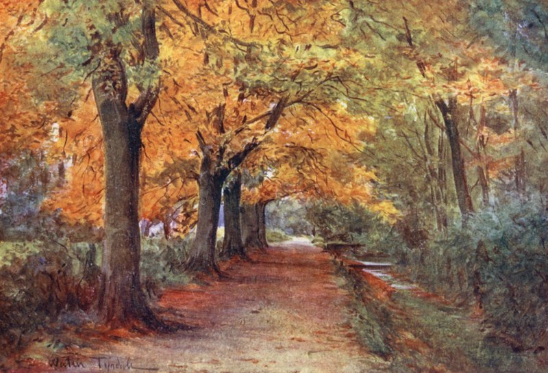 av Walter Frederick Roofe Tyndale