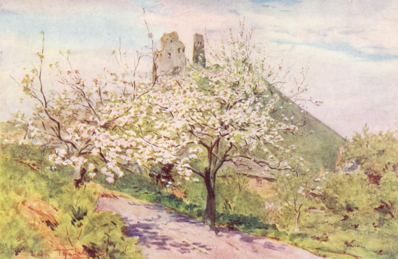  av Walter Frederick Roofe Tyndale