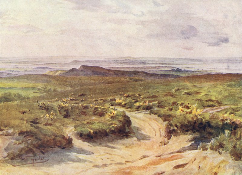  av Walter Frederick Roofe Tyndale