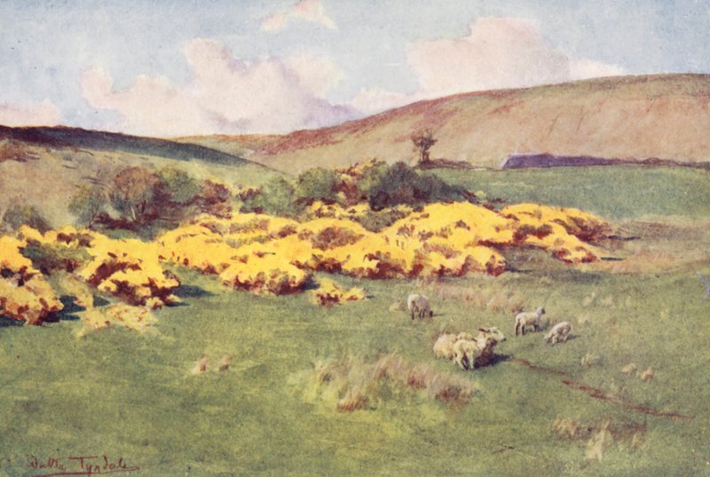 Wessex: Sommer i Wessex (fargelitografi) av Walter Frederick Roofe Tyndale