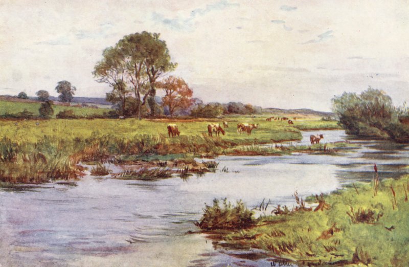  av Walter Frederick Roofe Tyndale