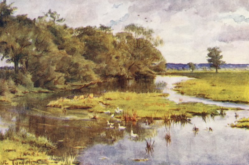  av Walter Frederick Roofe Tyndale