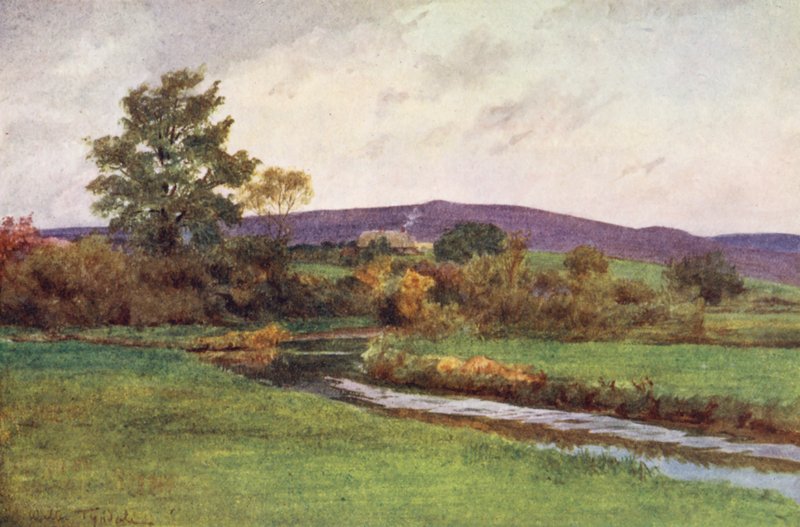  av Walter Frederick Roofe Tyndale